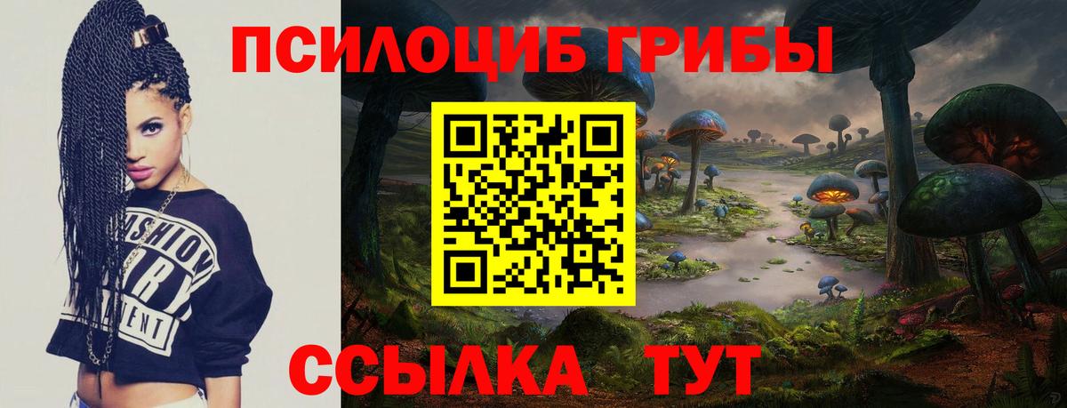 Галлюциногенные грибы GOLDEN TEACHER Аксай